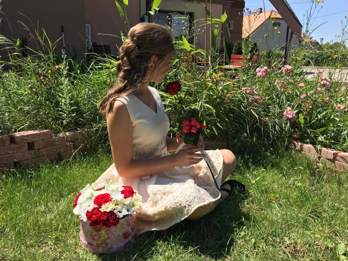Korona Panzio Bed & Breakfast Blh nad Iplom Bagian luar foto